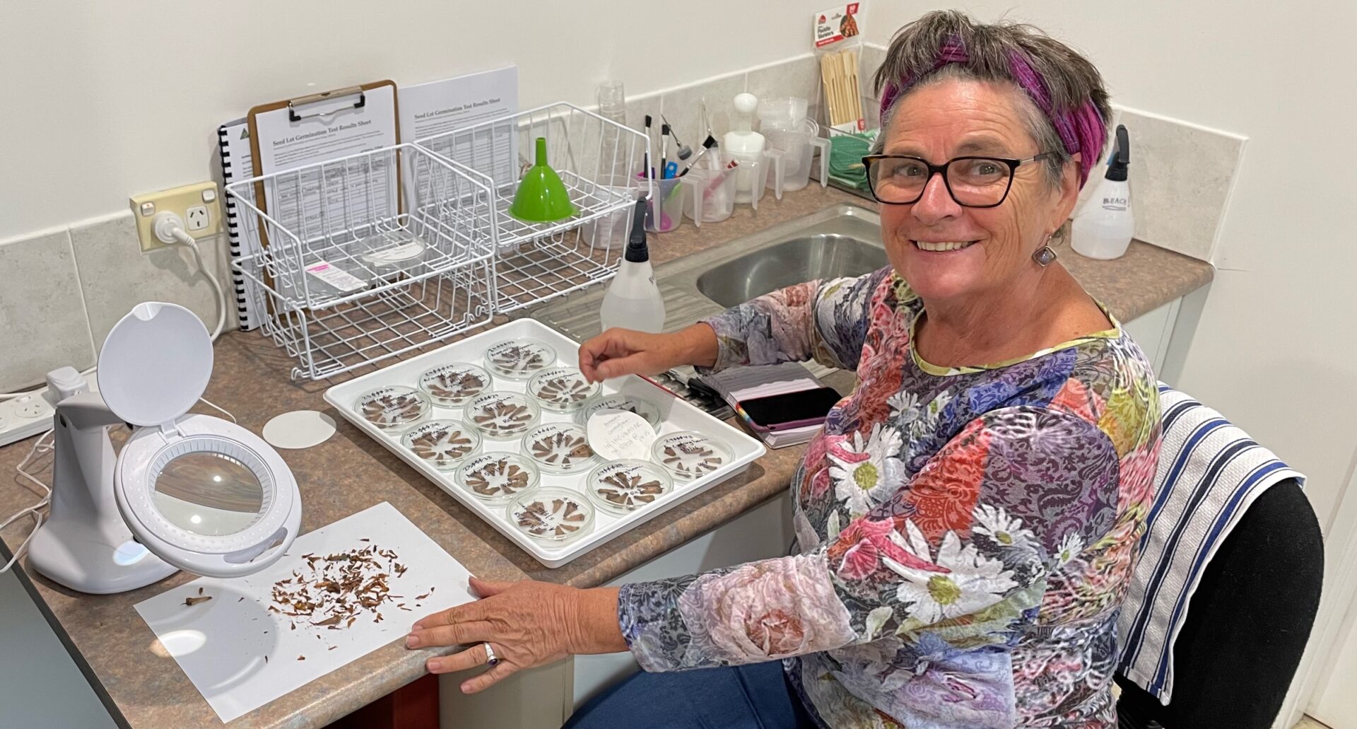 3b Seed Bank lab - Patsy